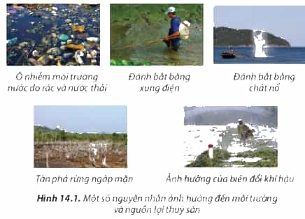 https://baivan.net/sites/default/files/styles/giua_bai/public/d/m/Y/14.1.png?itok=5QdY3T2F