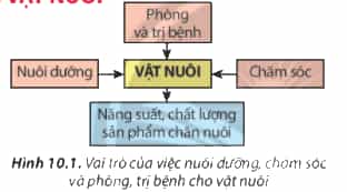 https://baivan.net/sites/default/files/styles/giua_bai/public/d/m/Y/10.1_1.png?itok=0AnzIjyl