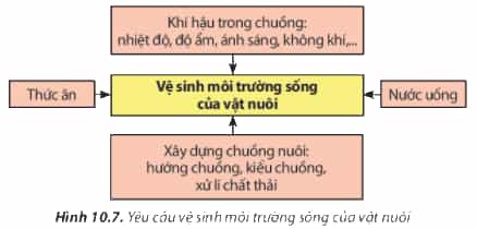 https://baivan.net/sites/default/files/styles/giua_bai/public/d/m/Y/10.7.png?itok=Lu11GKT3