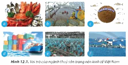 https://baivan.net/sites/default/files/styles/giua_bai/public/d/m/Y/12.1.png?itok=aruti3_4