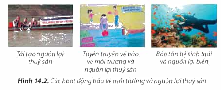 https://baivan.net/sites/default/files/styles/giua_bai/public/d/m/Y/14.22.png?itok=dOcoGgmO