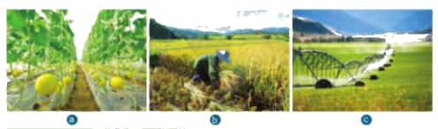 A picture containing sky, grass, sprinkler systemDescription automatically generated