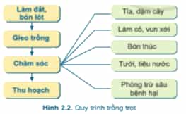 DiagramDescription automatically generated