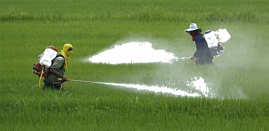 Chứng nhận hợp quy bình bơm phun thuốc trừ sâu đeo vai