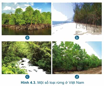 A picture containing text, tree, sky, outdoorDescription automatically generated