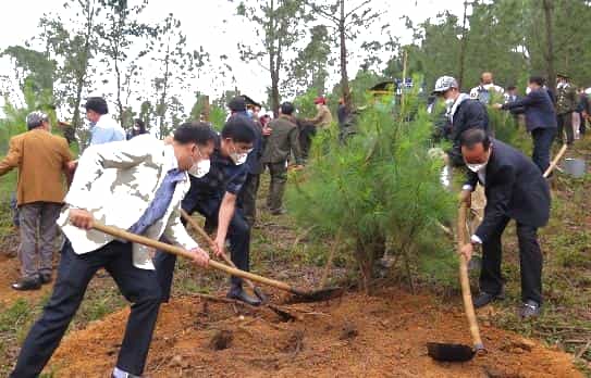 Trồng cây gây rừng: Bộ TN-MT sẽ tôn vinh các sáng kiến, cách làm hay | Môi  trường | Vietnam+ (VietnamPlus)