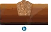 A picture containing food, sweetDescription automatically generated