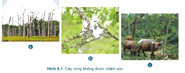 A picture containing text, mammal, differentDescription automatically generated