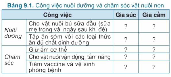 TableDescription automatically generated
