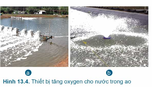 A picture containing text, outdoor, water sport, sport
Description automatically generated
