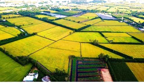 Đồng bằng