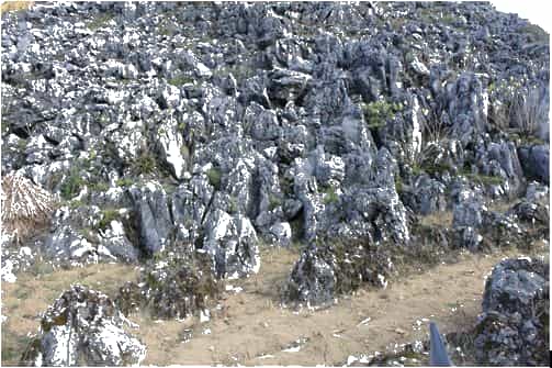 Địa hình cac-xto