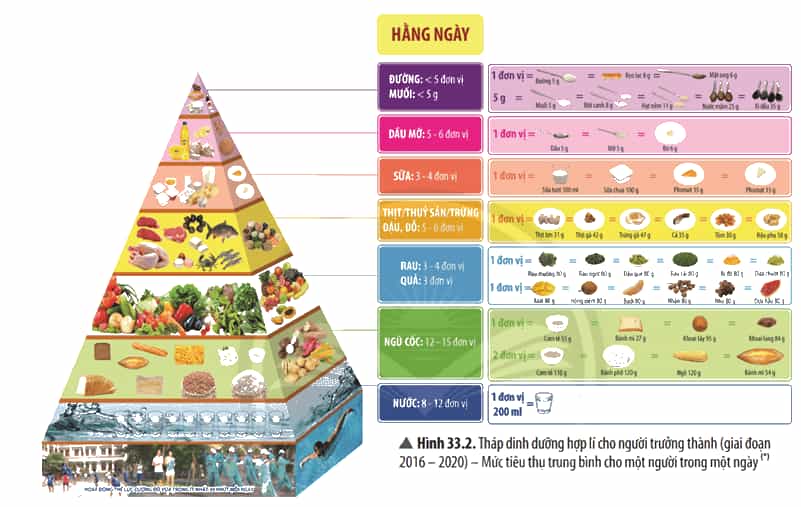 Dựa vào thông tin và Hình 33.2, trả lời câu hỏi và thực hiện các yêu cầu sau