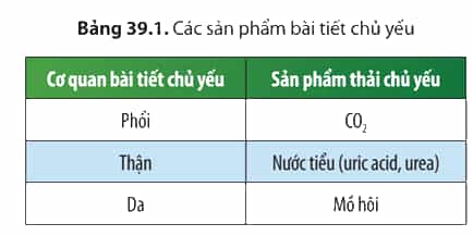 Từ thông tin và Bảng 39.1, hãy cho biết nếu một trong các cơ quan bài tiết