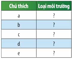 Xác định các loại môi trường có trong Hình 45.1 bằng cách hoàn thành