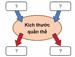 Hoàn thành sơ đồ sau thể hiện sự ảnh hưởng của các yếu tố