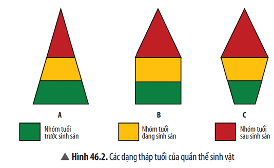 Hãy xác định trạng thái của các quần thể A, B, C trong Hình 46.2