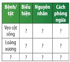 Trình bày các thông tin về bệnh/tật liên quan đến hệ vận động bằng cách hoàn thành bảng