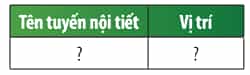 Quan sát Hình 42.1 và Bảng 42.1, hãy hoàn thành bảng sau: