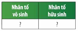 Hãy phân loại các nhân tố mà em đã liệt kê ở Câu 1