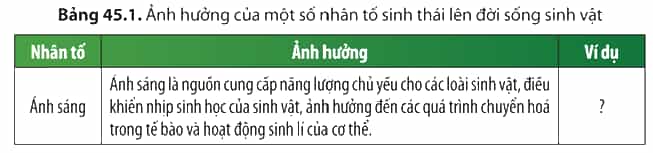 Cho ví dụ chứng minh sự ảnh hưởng của các nhân tố sinh thái