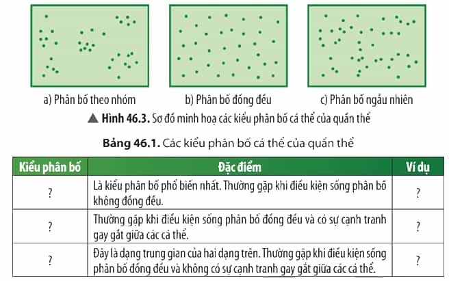 Quan sát Hình 46.3, hãy xác định đặc điểm tương ứng của mỗi