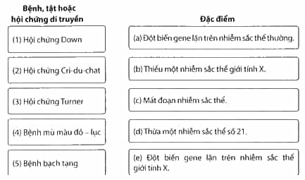Nối tên của các bệnh, tật hoặc hội chứng di truyền ở người với nguyên nhân tương ứng