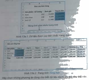 Hình 13a.1 và Hình 13a.2 minh họa một bảng tính lưu trữ dữ liệu bán hàng