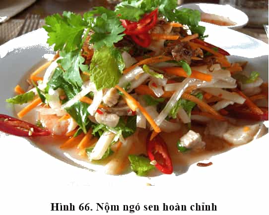 Lý thuyết, trắc nghiệm Công nghệ 9 Bài 7 (có đáp án): Thực hành: Chế biến các món ăn không sử dụng nhiệt
