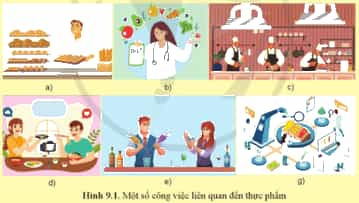 Quan sát Hình 9.1 và cho biết những người dưới đây đang làm các công việc gì