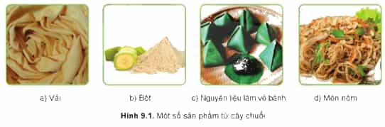Em hãy cho biết các sản phẩm trong Hình 9.1 làm từ bộ phận nào sau đây của cây chuối