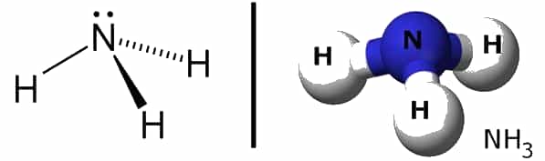 See the source image