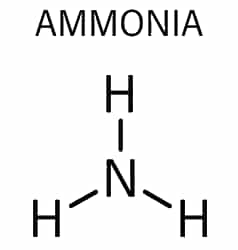 Nh3 Molecule Ammonia Vector Images (29)