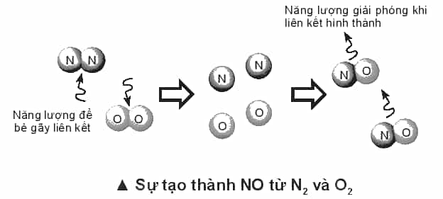 D:\Documents\SÁCH CHƯƠNG TRÌNH MỚI\Ảnh, video phụ trợ\Bài 14 sự tạo thành NO.PNG