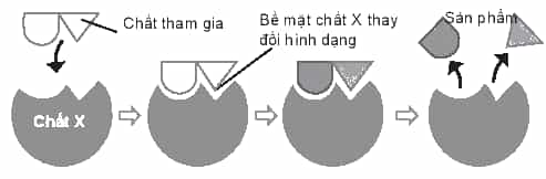 D:\Documents\SÁCH CHƯƠNG TRÌNH MỚI\Ảnh, video phụ trợ\Bài 16 sơ đồ tạo sản phẩm.PNG