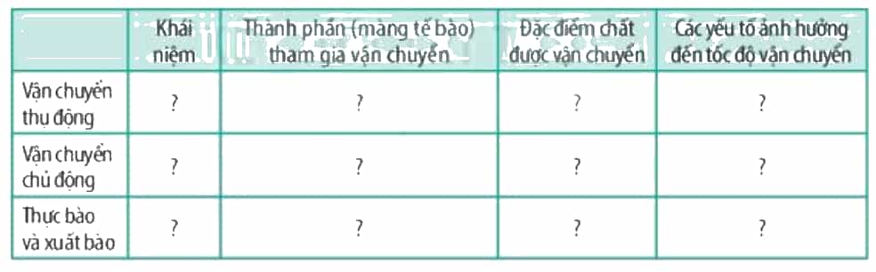 TableDescription automatically generated