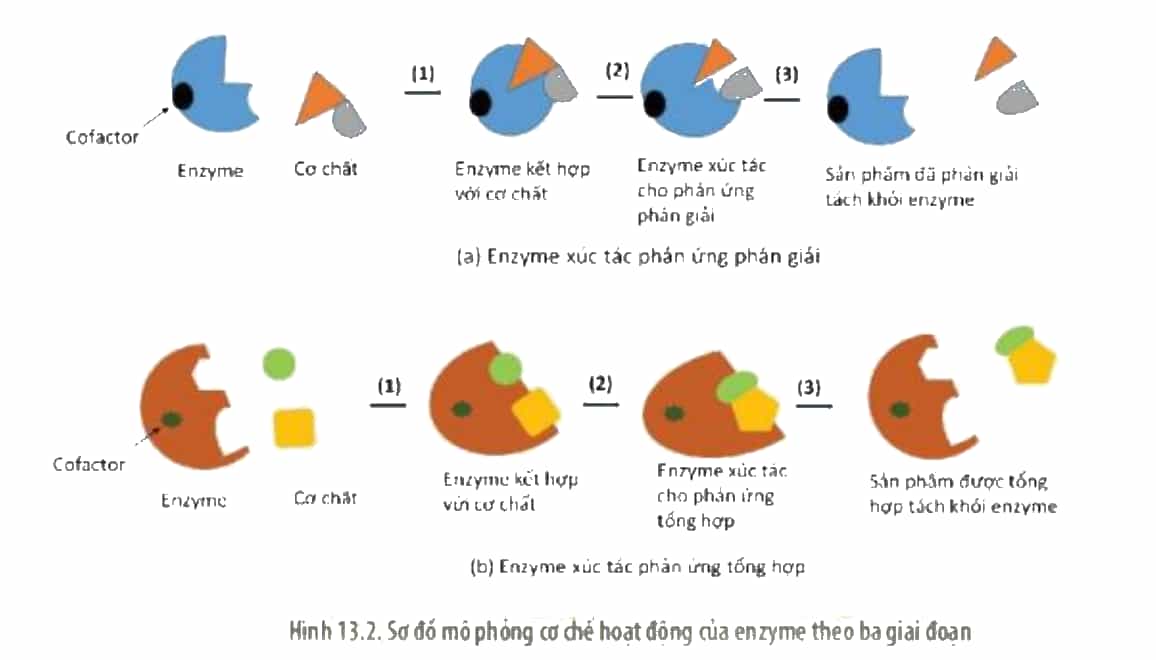 ChartDescription automatically generated
