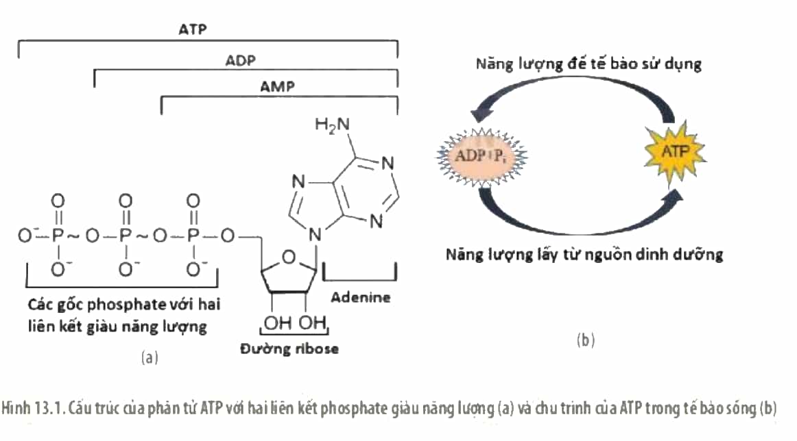 DiagramDescription automatically generated