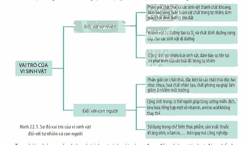 DiagramDescription automatically generated