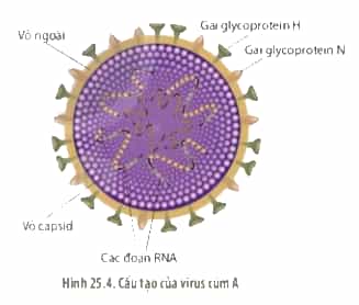 Diagram, schematicDescription automatically generated