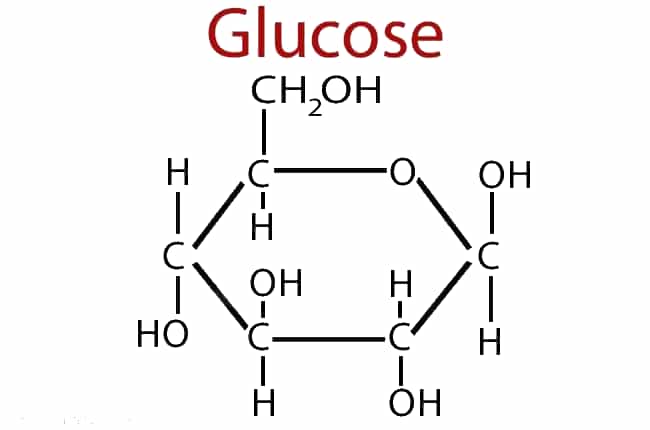 Glucose là gì và hoạt động như thế nào? | Vinmec