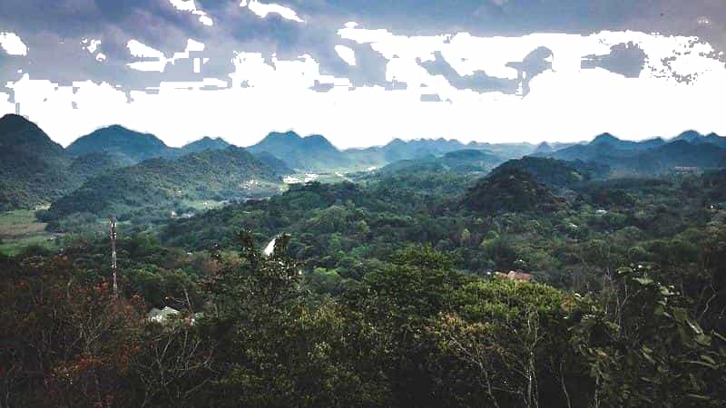 Rừng Cúc Phương - Ninh Bình | Tripzone