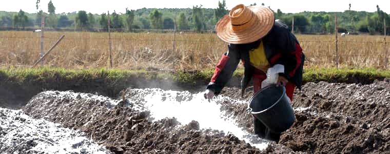 Ý Nghĩa Của Việc Bón Vôi Trong Quá Trình Cải Tạo Đất - Cẩm nang Hải Phòng