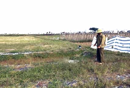 Thuốc trừ cỏ - Hiểm họa khôn lường - Hội Nông Dân tỉnh Ninh Bình