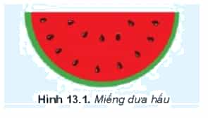 Quan sát hình vẽ miếng dưa hấu ở Hình 13.1 và kể các đối tượng có trong hình vẽ