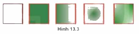 Quan sát các hình sau và nhận xét các hình có điểm gì khác nhau