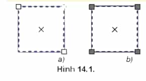 Quan sát hai hình chữ nhật ở Hình 14.1 và tìm ra điểm khác nhau giữa hai hình
