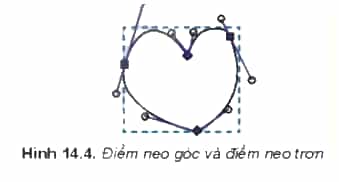 Quan sát hình trái tim xác định xem các điểm được đánh dấu nằm trên Hình 14.4