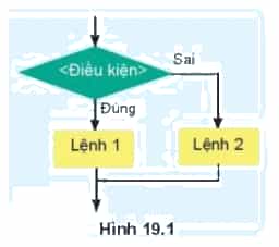 Trong cuộc sống chúng ta vẫn thường gặp các tình huống một việc được thực hiện