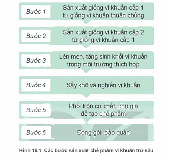 https://baivan.net/sites/default/files/styles/giua_bai/public/d/m/Y/20220217101506_wm_shs-cong-nghe-10-cong-nghe-trong-trot-91.jpg?itok=uUU9EJwP